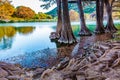 Fall foliage on the crystal clear Frio River in Texas. Royalty Free Stock Photo