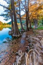 Fall foliage on the crystal clear Frio River in Texas.