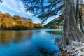 Fall foliage on the crystal clear Frio River in Texas. Royalty Free Stock Photo