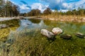 Fall foliage on the crystal clear Frio River in Texas. Royalty Free Stock Photo