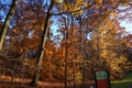 Fall Foliage At Dusk In The New York Botanical Garden Royalty Free Stock Photo