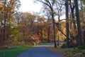 Fall Foliage At Dusk In The New York Botanical Garden Royalty Free Stock Photo