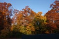 Fall Foliage At Dusk In The New York Botanical Garden Royalty Free Stock Photo