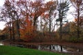 Fall Foliage At Dusk In The New York Botanical Garden Royalty Free Stock Photo