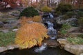 Fall Foliage At Dusk In The New York Botanical Garden Royalty Free Stock Photo