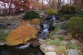 Fall Foliage At Dusk In The New York Botanical Garden Royalty Free Stock Photo