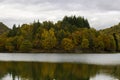 fall foliage forest reflecting in the still surface of lake water, Beautiful Autumn foliage colors above water Royalty Free Stock Photo