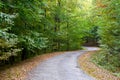 Fall foliage in a forest road. Royalty Free Stock Photo