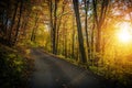 Fall Foliage Forest Route Royalty Free Stock Photo