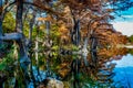 Fall Foliage at Garner State Park, Texas Royalty Free Stock Photo