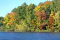 Fall foliage and geese on Mill Pond, Connecticut. Royalty Free Stock Photo