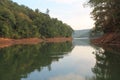 Fall foliage greenery reflected on Tennessee lake