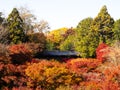 Fall foliage on the grounds of Tofukuji temple in Kyoto, view from Tsutenkyo bridge Royalty Free Stock Photo