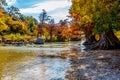 Fall Foliage at Guadalupe State Park, Texas Royalty Free Stock Photo