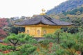 Fall foliage at Kinkakuji Temple(Golden Pavilion) Royalty Free Stock Photo