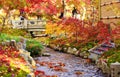 Fall Foliage in Kyoto Royalty Free Stock Photo