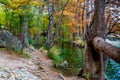 Fall Foliage and a Large Boulder near the Frio River Royalty Free Stock Photo