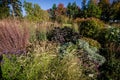 Fall foliage and leaves in the Norenberg Gardens in Minnetonka, MN Royalty Free Stock Photo