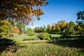 Fall foliage and leaves in the Norenberg Gardens in Minnetonka, MN