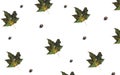 Fall foliage mock up, pattern with maple leaves and acorns