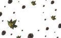 Fall foliage mock up, pattern with maple leaves and acorns