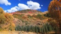 Fall foliage on mountain top in rural Colorado Royalty Free Stock Photo