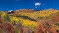 Fall foliage on mountain top in Utah Royalty Free Stock Photo