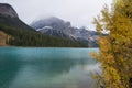 Fall foliage and mountains at Emerald lake in Yoho National park, Canada