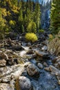 Fall Foliage around Steamboat Springs Colorado Royalty Free Stock Photo