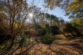 Fall foliage in North Carolina by Little Sugar Creek