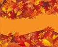 Fall Foliage Notecard with Banner