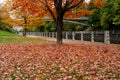 Fall foliage in Ottawa, Ontario, Canada. Rideau Canal Pathway autumn leaves scenery.