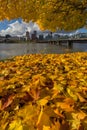 Fall Foliage in Portland OR downtown City skyline Royalty Free Stock Photo