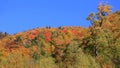 Fall foliage in rural Vermont Royalty Free Stock Photo