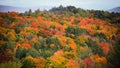 Fall foliage in rural Vermont during peak autumn time