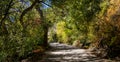 Down the Road Seeing Fall Color in The Sandias