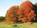 Fall Foliage in Saratoga NY Royalty Free Stock Photo