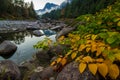 Fall Foliage on the Shore of the Skykomish River, Washington State