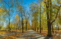 Fall Foliage at the Stanislaw Staszic Municipal Park