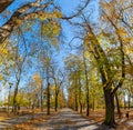 Fall Foliage at the Stanislaw Staszic Municipal Park