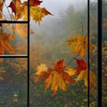 Fall foliage: tranquil reflections of maple trees through window