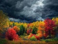 Fall Foliage Underneath a Dramatic Cloudy Sky Royalty Free Stock Photo