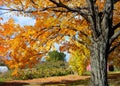 Fall Foliage on Vermont Farm Royalty Free Stock Photo