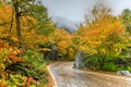 Fall Foliage - Vermont Royalty Free Stock Photo