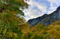 Fall Foliage Vermont Royalty Free Stock Photo