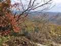 Fall Foliage View from Giant Ledge Mountain in September in Catskill Mountains. Royalty Free Stock Photo