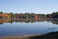 Autumn in Harold Parker State Forest, Andover MA Royalty Free Stock Photo