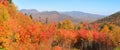 Fall foliage in White mountain national park Royalty Free Stock Photo