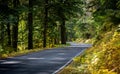 Fall foliage and winding roadway in Mount Rainier National Park Royalty Free Stock Photo