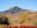 Fall foliage in Yatsugatake Mountains in autumn Royalty Free Stock Photo